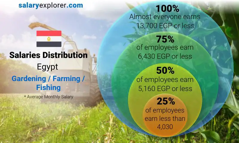 Median and salary distribution Egypt Gardening / Farming / Fishing monthly