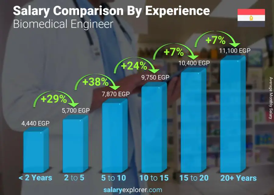 Salary comparison by years of experience monthly Egypt Biomedical Engineer