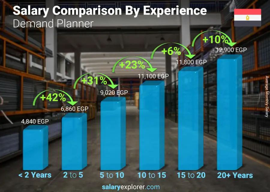 demand-planner-average-salary-in-egypt-2023-the-complete-guide