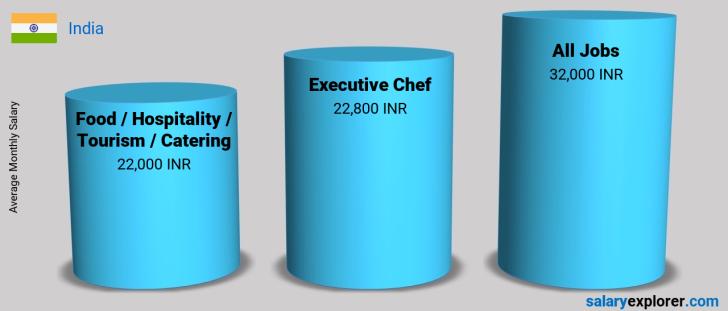 executive-chef-average-salary-in-india-2023-the-complete-guide