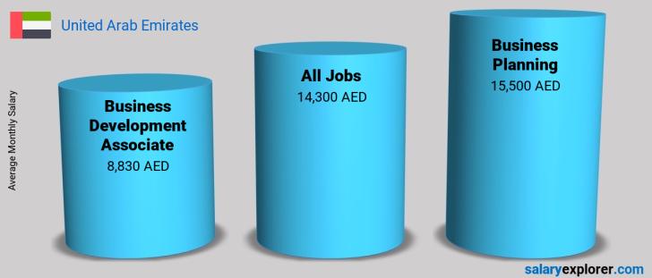 Business Development Associate Average Salary in United Arab Emirates
