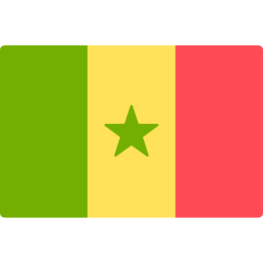 Average Salary in Senegal 2022 The Complete Guide