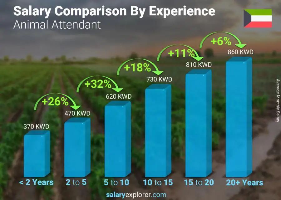 متوسط الدخل حسب سنين الخبرة شهري الكويت مصاحب حيوانات