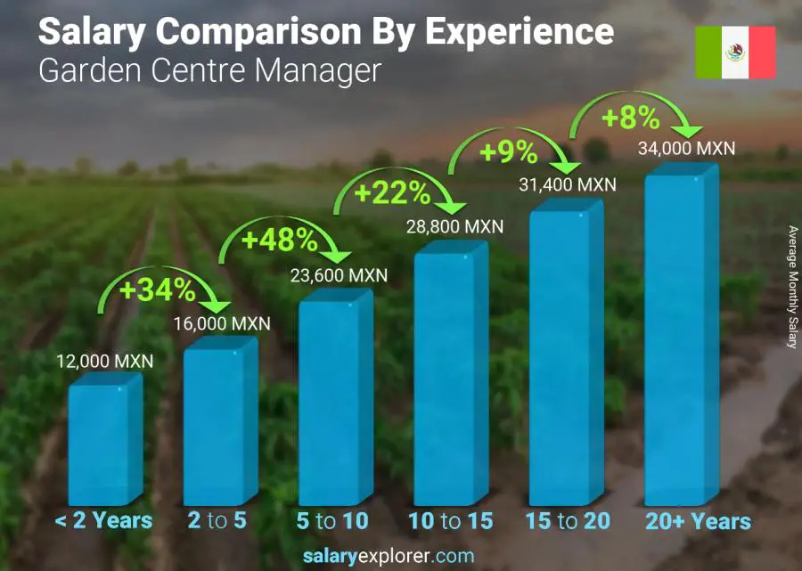 متوسط الدخل حسب سنين الخبرة شهري المكسيك مدير مركز الحديقة
