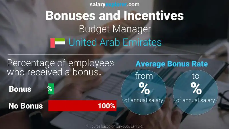 الحوافز و العلاوات الامارات العربية المتحدة مدير الميزانية