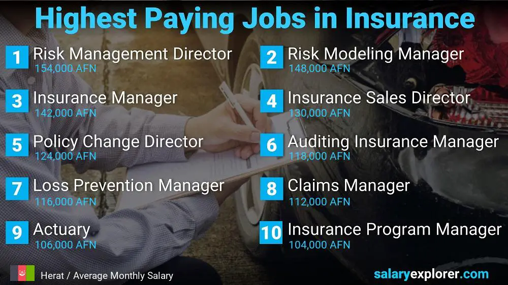 Highest Paying Jobs in Insurance - Herat