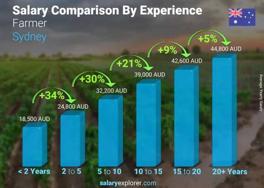 Salary comparison by years of experience yearly Sydney Farmer