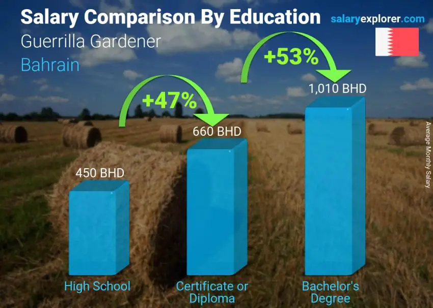 Salary comparison by education level monthly Bahrain Guerrilla Gardener