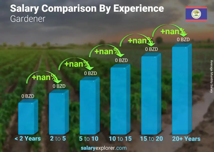 Salary comparison by years of experience monthly Belize Gardener