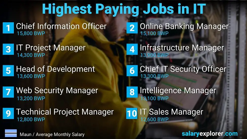 Highest Paying Jobs in Information Technology - Maun
