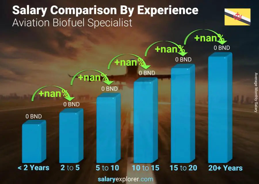 Salary comparison by years of experience monthly Brunei Aviation Biofuel Specialist