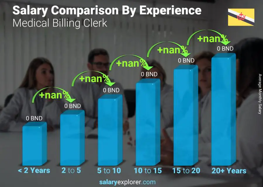 Salary comparison by years of experience monthly Brunei Medical Billing Clerk