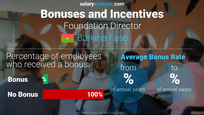 Annual Salary Bonus Rate Burkina Faso Foundation Director
