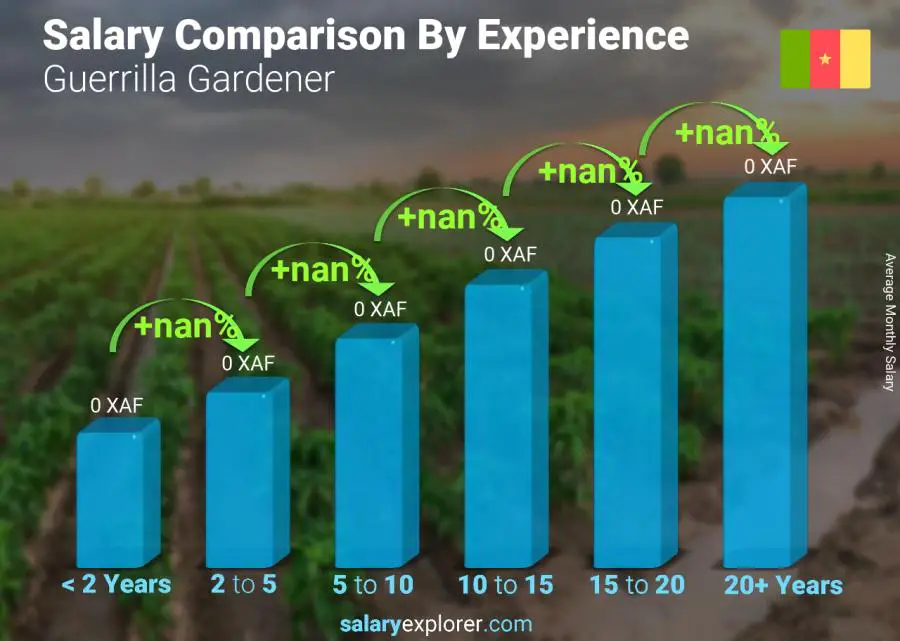 Salary comparison by years of experience monthly Cameroon Guerrilla Gardener