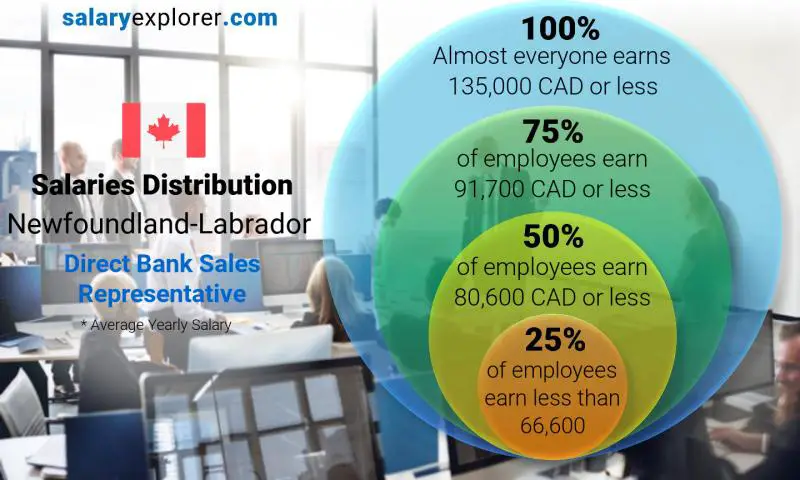 Median and salary distribution Newfoundland-Labrador Direct Bank Sales Representative yearly