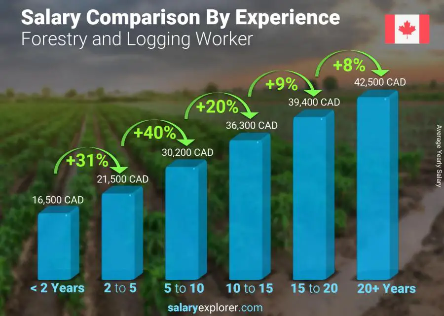 Salary comparison by years of experience yearly Nova Scotia Forestry and Logging Worker