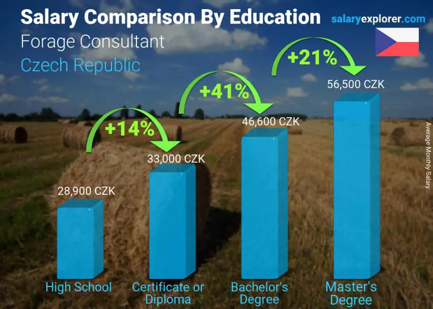 Salary comparison by education level monthly Czech Republic Forage Consultant