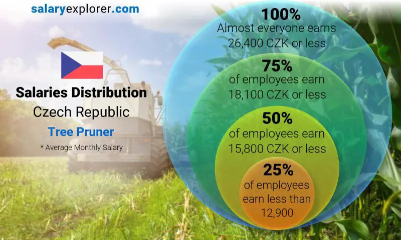 Median and salary distribution Czech Republic Tree Pruner monthly