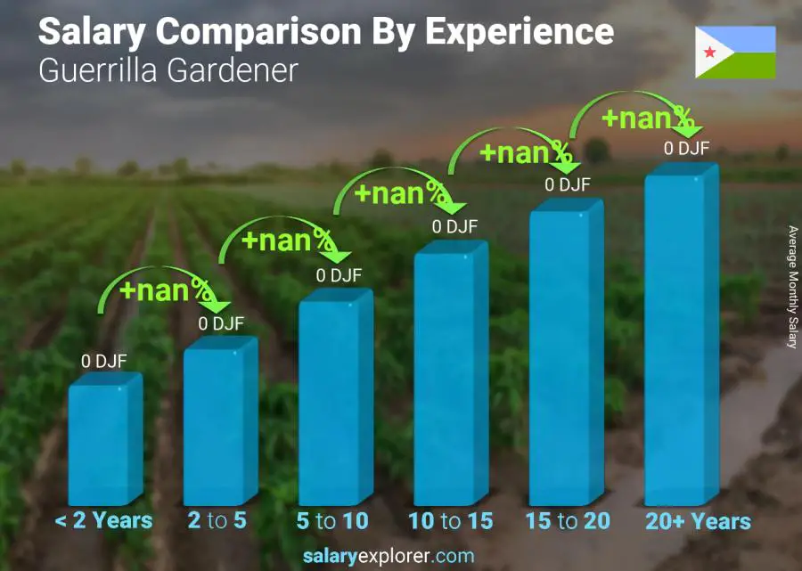 Salary comparison by years of experience monthly Djibouti Guerrilla Gardener
