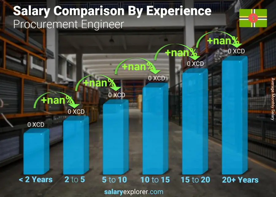 Salary comparison by years of experience monthly Dominica Procurement Engineer