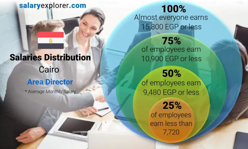 Median and salary distribution Cairo Area Director monthly