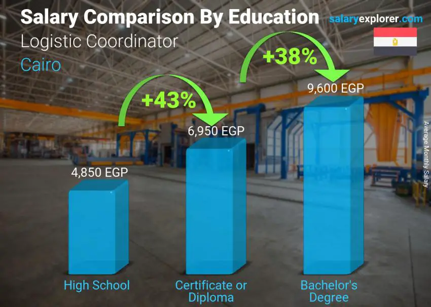 Salary comparison by education level monthly Cairo Logistic Coordinator