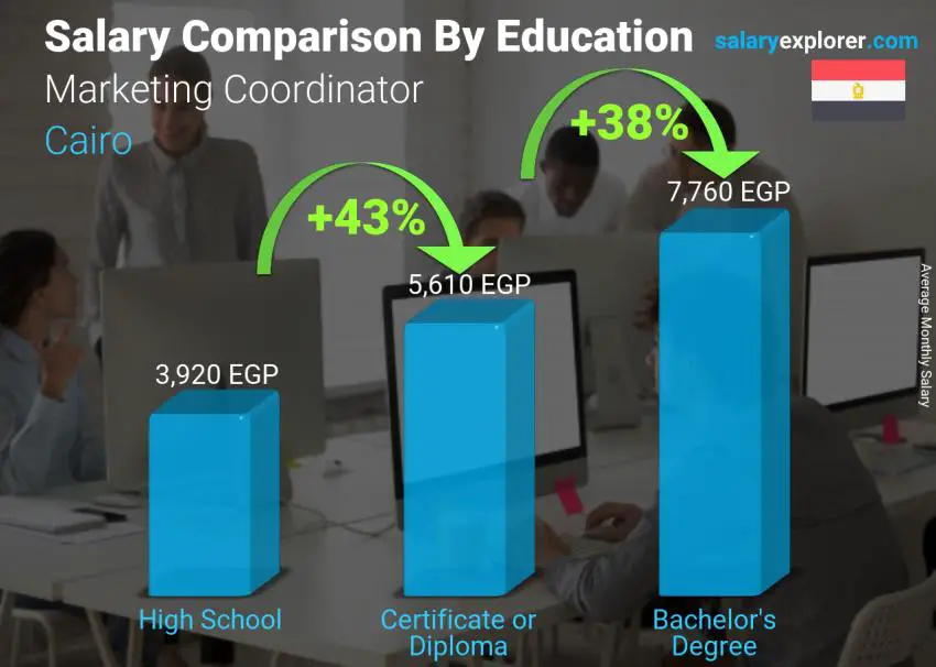 Salary comparison by education level monthly Cairo Marketing Coordinator