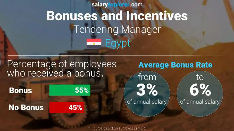Annual Salary Bonus Rate Egypt Tendering Manager