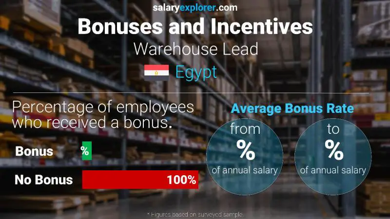 Annual Salary Bonus Rate Egypt Warehouse Lead