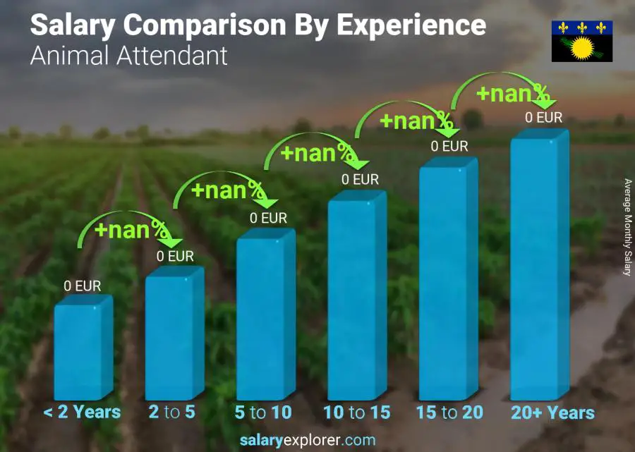 Salary comparison by years of experience monthly Guadeloupe Animal Attendant