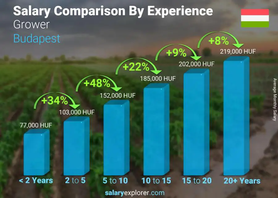 Salary comparison by years of experience monthly Budapest Grower