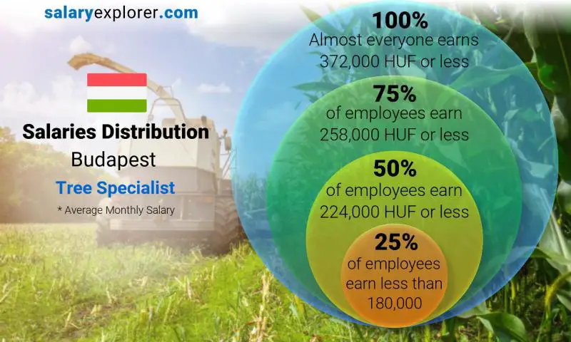 Median and salary distribution Budapest Tree Specialist monthly