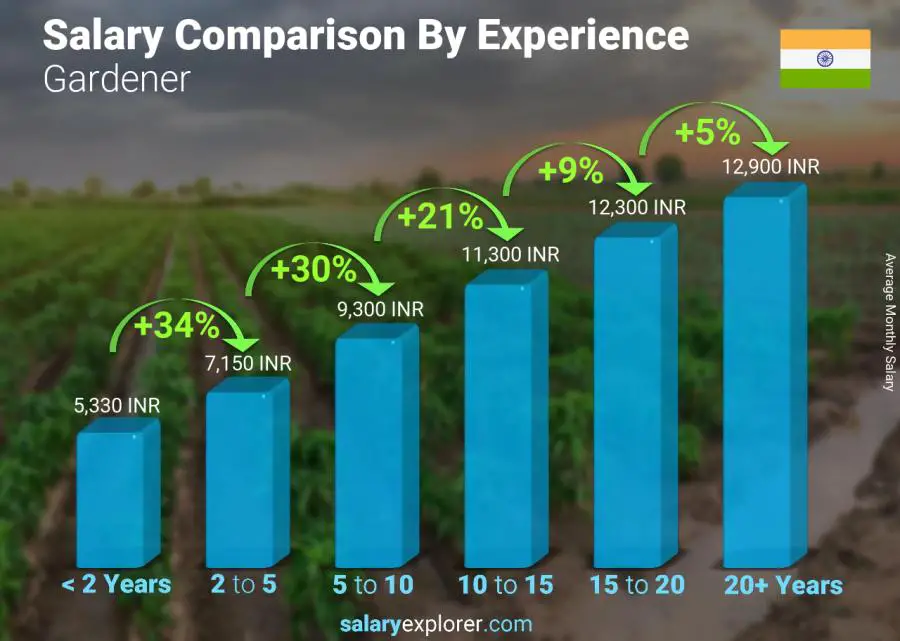Salary comparison by years of experience monthly India Gardener