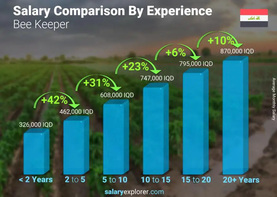 Salary comparison by years of experience monthly Iraq Bee Keeper