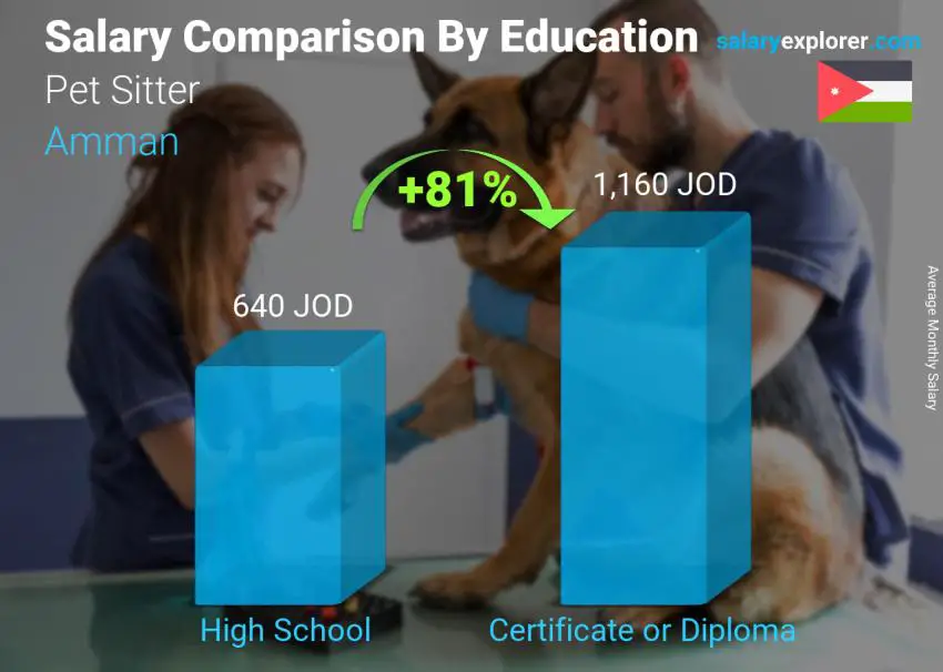 Salary comparison by education level monthly Amman Pet Sitter