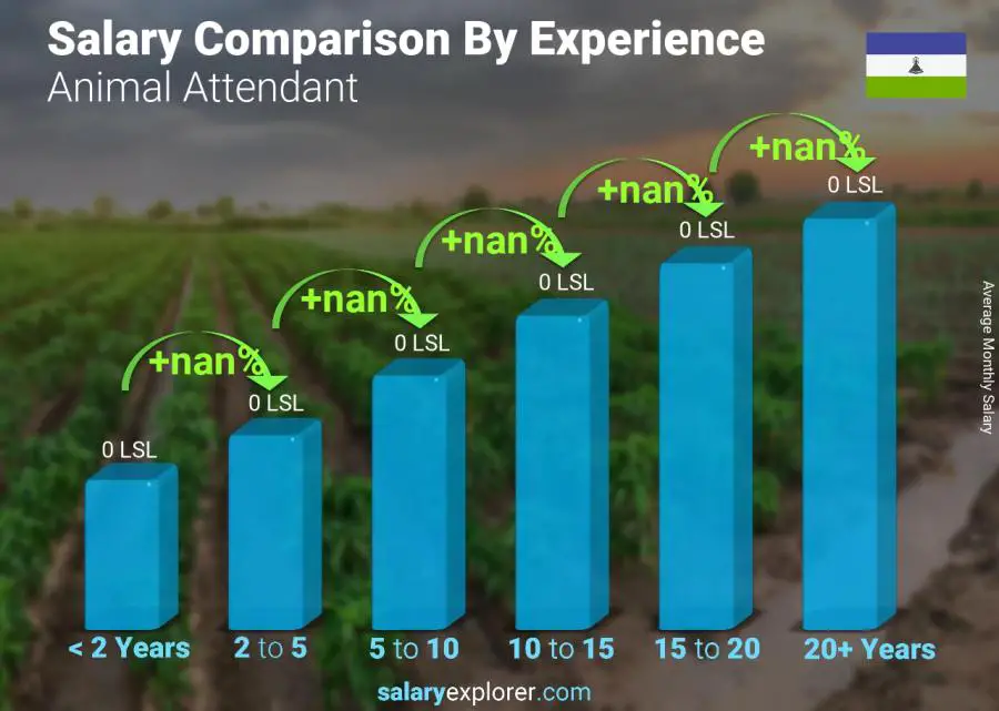 Salary comparison by years of experience monthly Lesotho Animal Attendant