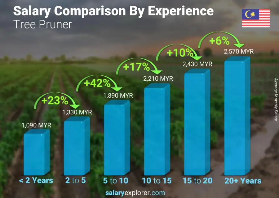 Salary comparison by years of experience monthly Malaysia Tree Pruner