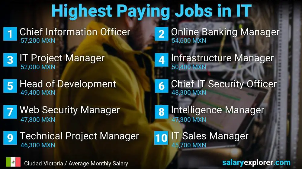 Highest Paying Jobs in Information Technology - Ciudad Victoria