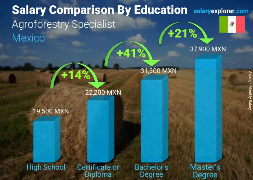 Salary comparison by education level monthly Mexico Agroforestry Specialist