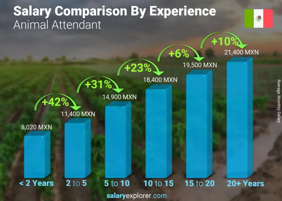 Salary comparison by years of experience monthly Mexico Animal Attendant