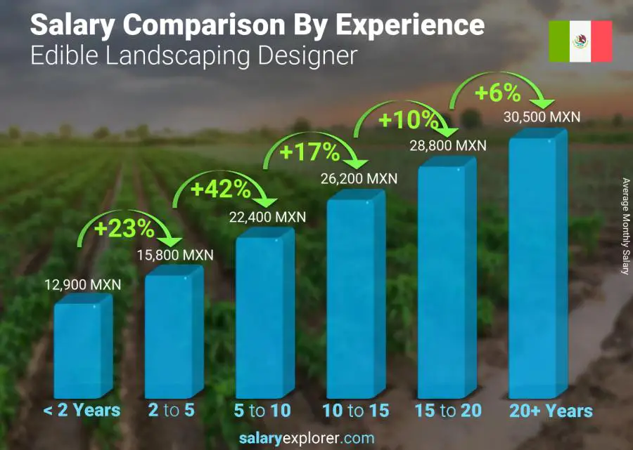 Salary comparison by years of experience monthly Mexico Edible Landscaping Designer