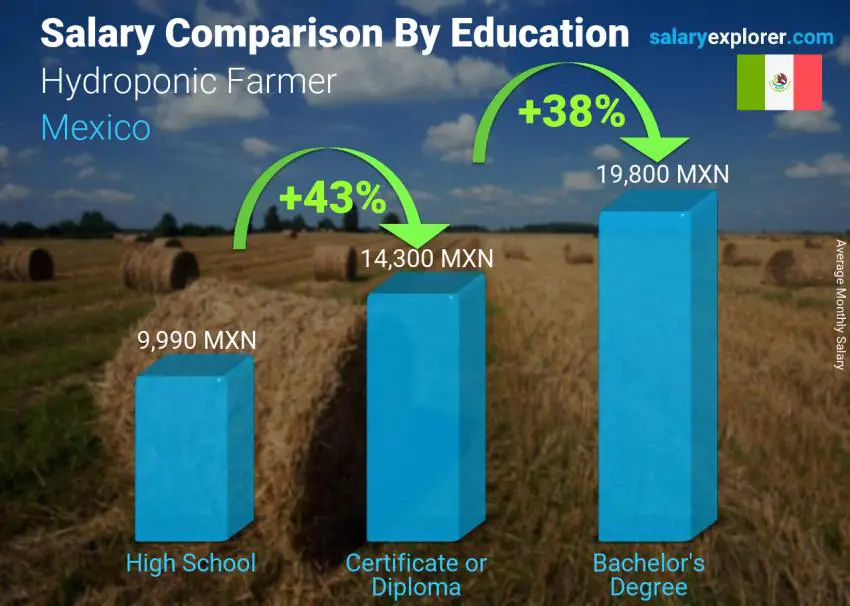 Salary comparison by education level monthly Mexico Hydroponic Farmer