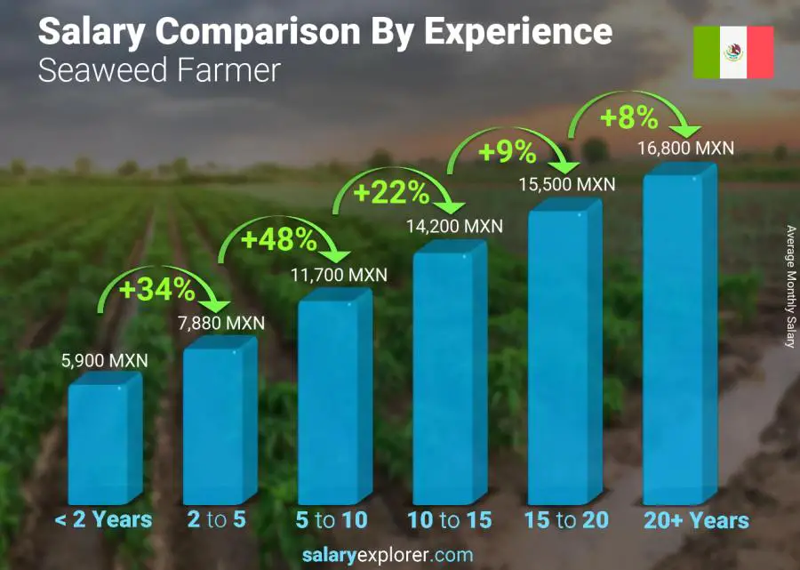 Salary comparison by years of experience monthly Mexico Seaweed Farmer