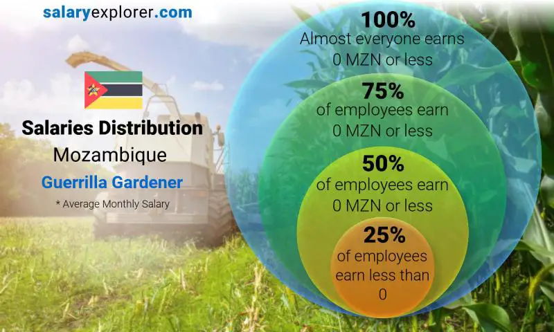 Median and salary distribution Mozambique Guerrilla Gardener monthly