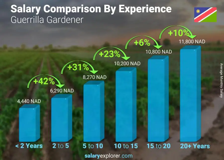 Salary comparison by years of experience monthly Namibia Guerrilla Gardener