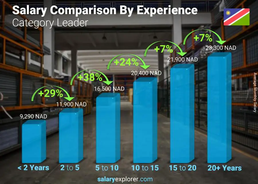 Salary comparison by years of experience monthly Namibia Category Leader