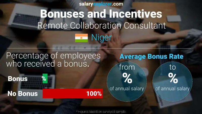 Annual Salary Bonus Rate Niger Remote Collaboration Consultant