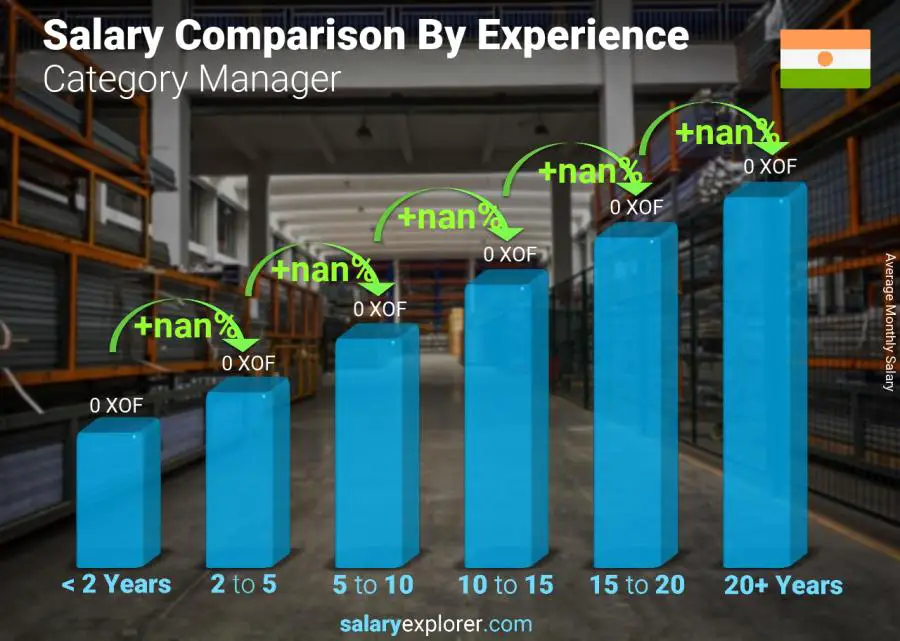 Salary comparison by years of experience monthly Niger Category Manager