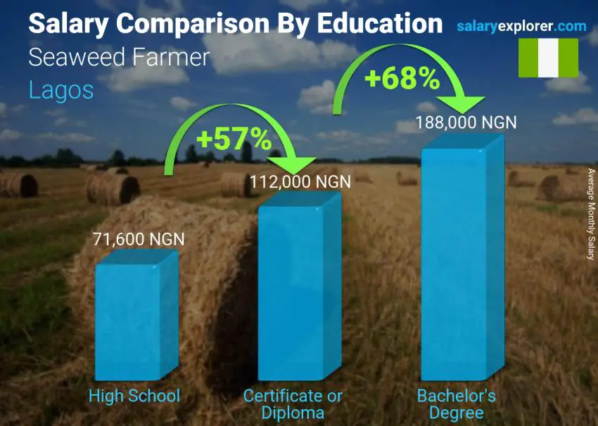 Salary comparison by education level monthly Lagos Seaweed Farmer