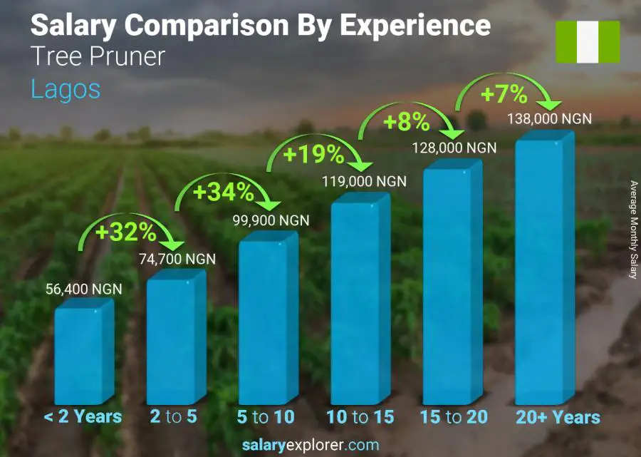 Salary comparison by years of experience monthly Lagos Tree Pruner